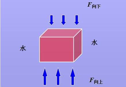 中考復(fù)讀