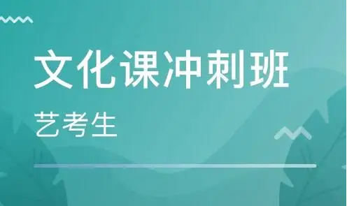 藝考高考文化課培訓機構(gòu)