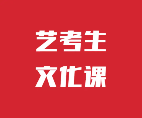 全日制藝術(shù)文化課沖刺招生